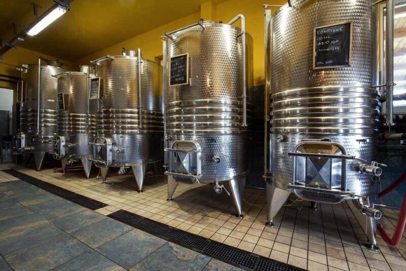 Wine Tour & Tasting of 6 Wines  Le Macchie, near Rome - A Scenic Journey to Lazio’s Wine Heartland