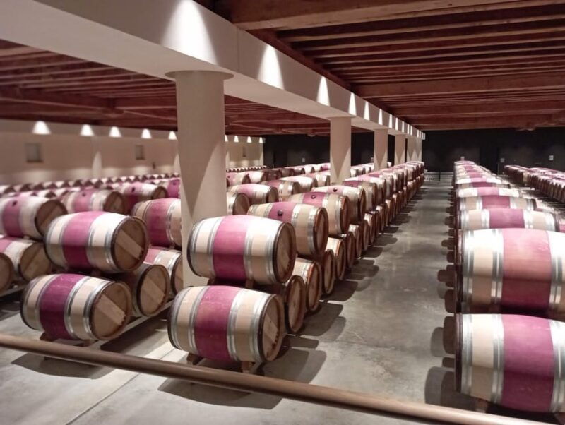 Wine Tour : the Beauty and Flavors of Bordeaux Vineyards. - The Essence of Bordeaux Wines