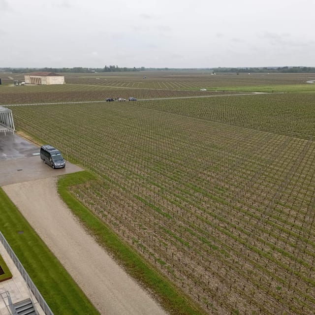 Wine Tour : the Beauty and Flavors of Bordeaux Vineyards. - What to Expect During Your Tour