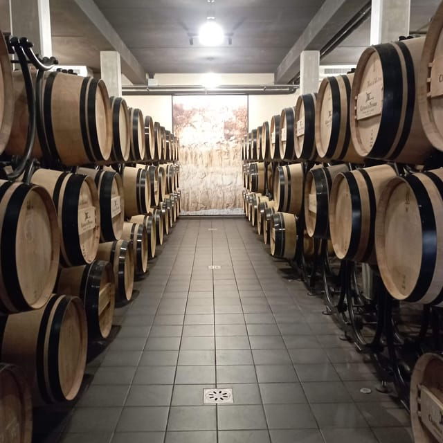 Wine Tour : the Beauty and Flavors of Bordeaux Vineyards. - Preparing for Your Wine Adventure