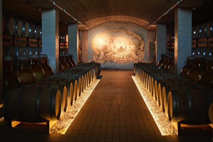 Wine Tour "The Pearls of Manduria" - Tour Overview