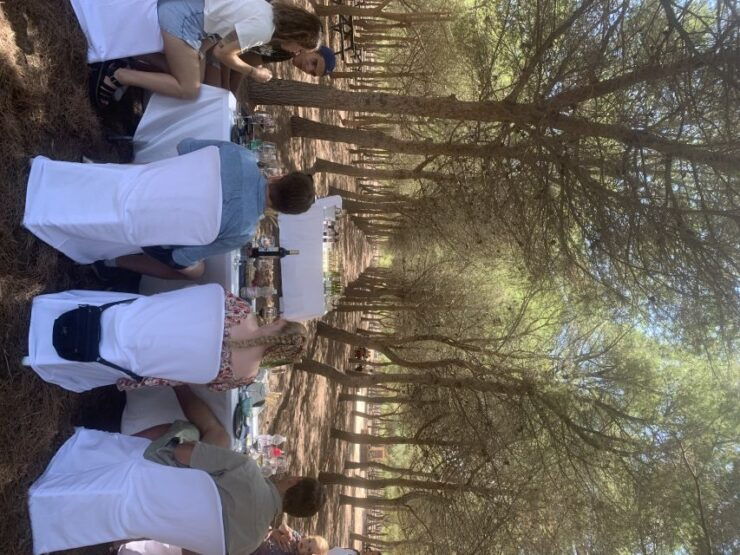 Wine Tour Through the Vineyards With Tasting by Salt Lake - Vineyard Tasting Experience Details