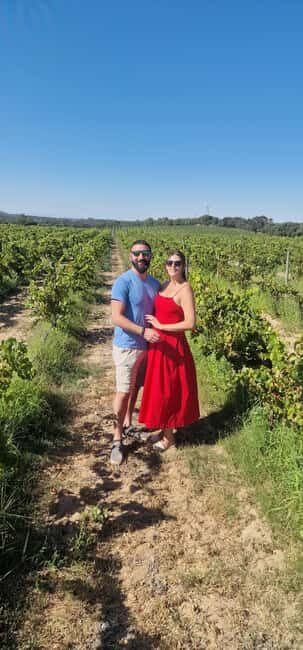 Wine Tour, Tiles Factory near Lisbon - The Sum Up