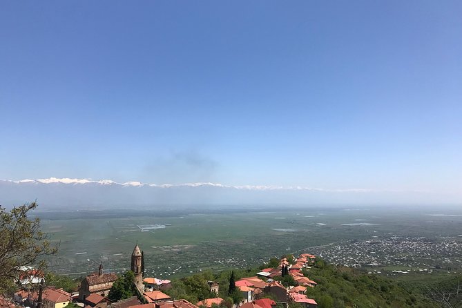 Wine Tour to Kartli Region, Chateau Mukhrani and Wine of Freeedom - Meeting and Pickup