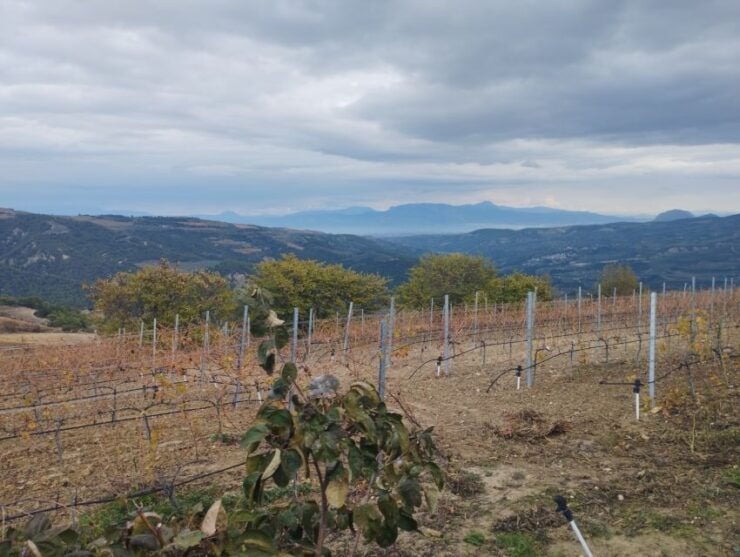 Wine Tour to Nemea & Nafplio From Athens - Duration and Availability