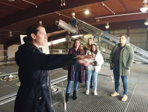 Wine Tour to Nemea & Nafplio From Athens - Insights Into Greek Wines