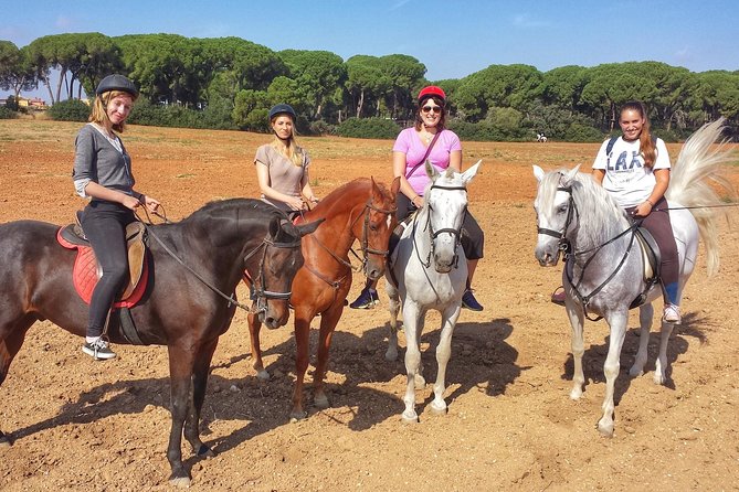Wine Tour to Sanlucar De Barrameda From Seville With Optional Horse Riding - Tour Location and Availability