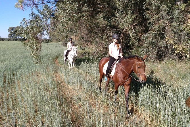 Wine Tour to Sanlucar De Barrameda From Seville With Optional Horse Riding - Safety Measures During the Tour