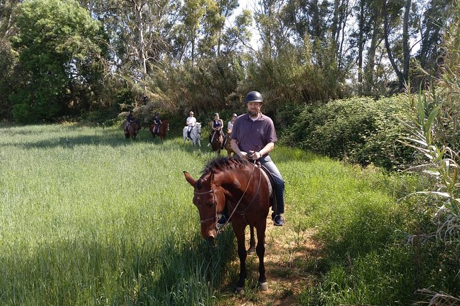 Wine Tour to Sanlucar De Barrameda From Seville With Optional Horse Riding - Cancellation Policy Details