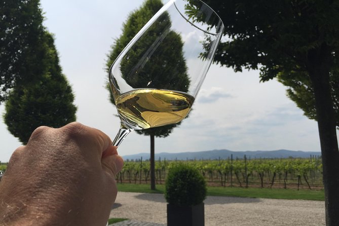 Wine Tour to the Pfalz "The Tuscany of Germany" to Taste Cracking Red Wines - Traveler Reviews
