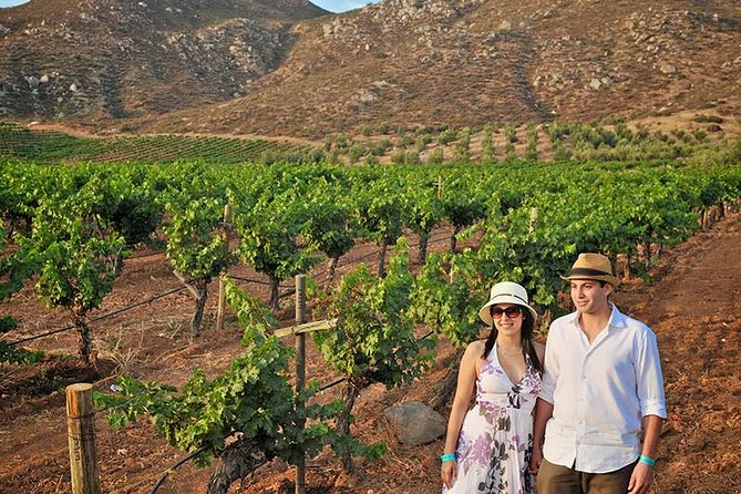 Wine Tour Valley of Guadalupe - Inclusions and Customization Options