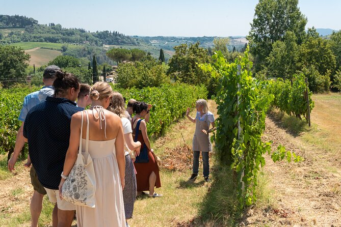 Wine Tour With Lunch and Wine Tasting - Whats Included
