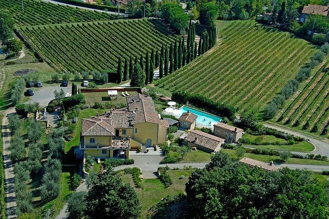 Wine Tour With Lunch and Wine Tasting - Itinerary Details