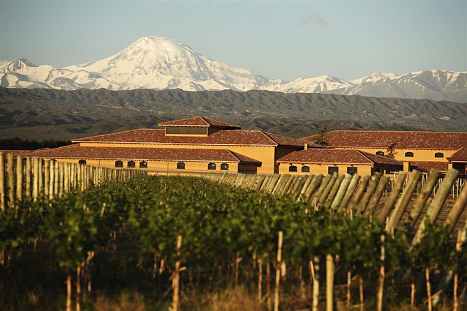 Wine Tour With Lunch From Mendoza - Tour Details