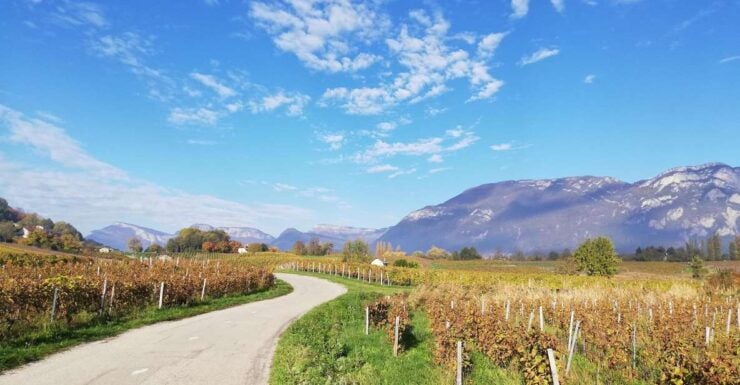 Wine Tour With Private Driver Departing From Annecy - Tour Details