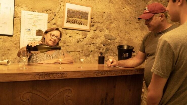 Wine Tour With Private Driver Departing From Annecy - Wine Tasting Experience