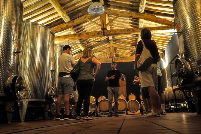 Wine Tour With Wine Tasting in Siena - Tuscanys Wine Legacy