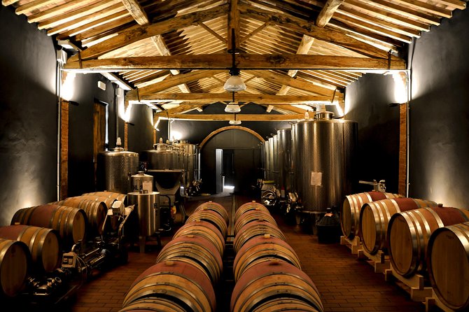 Wine Tour With Wine Tasting in Siena - Vineyard Exploration and Wine Education