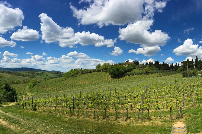 Wine Tour With Wine Tasting in Siena - Rave Reviews From Travelers