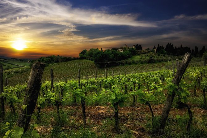 Wine Tour With Wine Tasting in Siena - Helpful Resources for Booking and Support