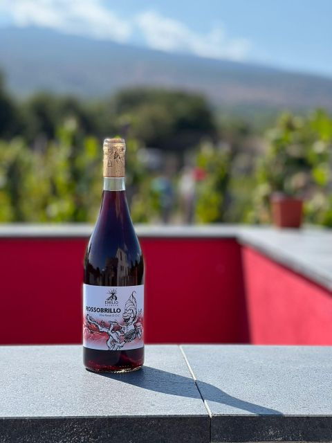 Wine Tour With Wine Tasting - Activity Highlights