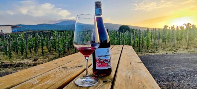 Wine Tour With Wine Tasting - Inclusions