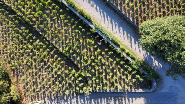 Wine Tour With Wine Tasting - Frequently Asked Questions