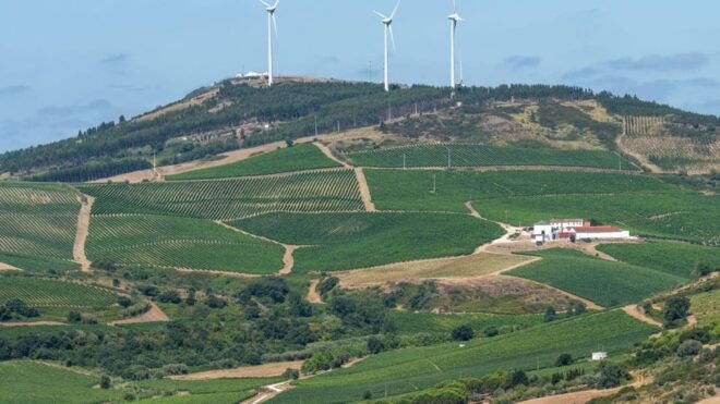 Wine Tourism Farm Visit + Torres Vedras City Visit - Highlights