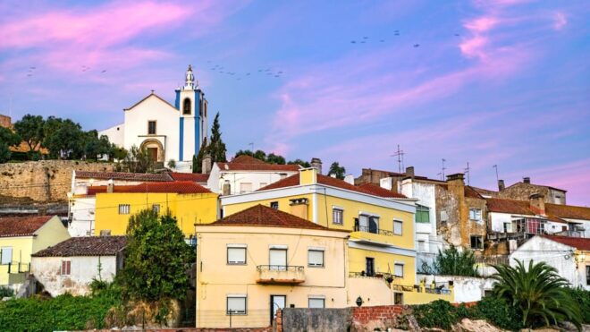 Wine Tourism Farm Visit + Torres Vedras City Visit - Pricing and Availability
