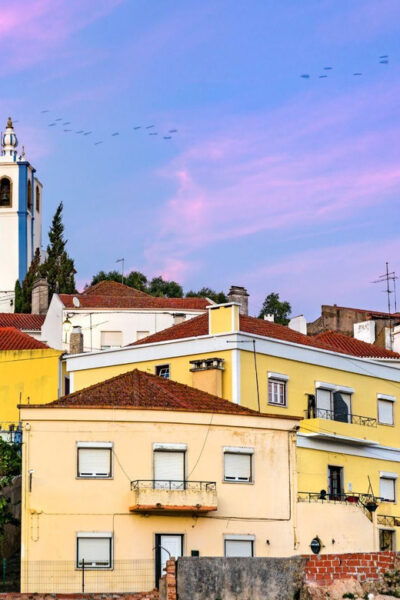 Wine Tourism Farm Visit + Torres Vedras City Visit - Frequently Asked Questions