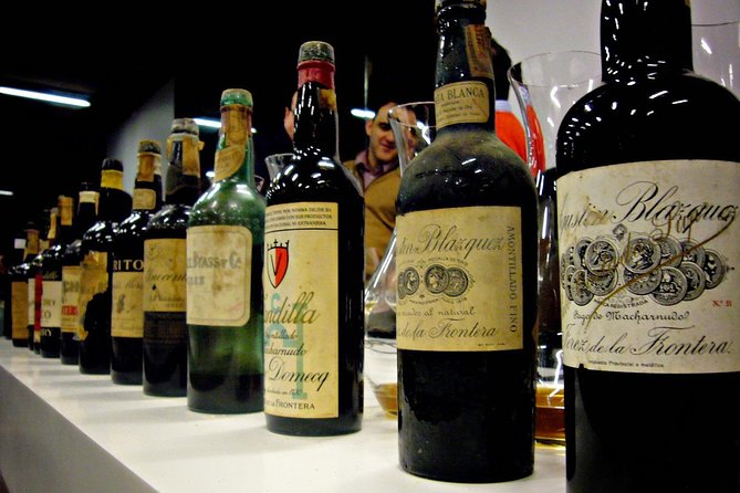 Wine Tourism Half Day Tour - Cancellation Policy