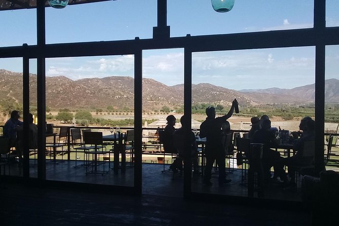 Wine Tours and Driver Service Through Valle De Guadalupe, Ensenada B.C. Mexico - Private Driver and Tour