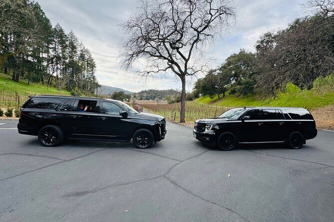 Wine Tours for 6 Hours and Private Transportation Services - An Overview of the Experience