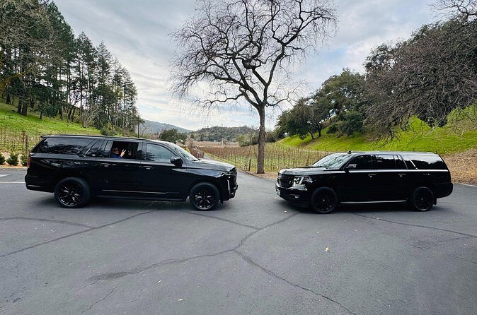 Wine Tours for 6 Hours and Private Transportation Services - Why This Tour Might Be Perfect for You