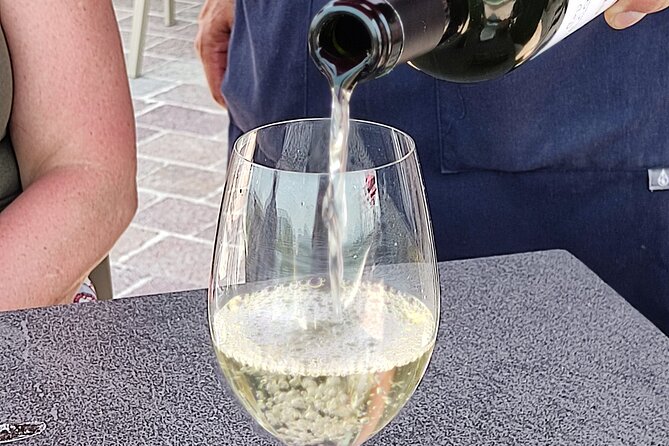 Wine Tours in the Heart of Mexico - Cancellation Policy
