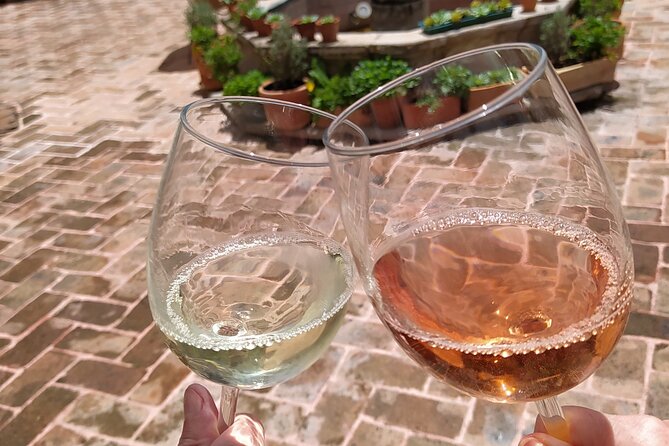 Wine Tours in the Heart of Mexico - Reviews and Price