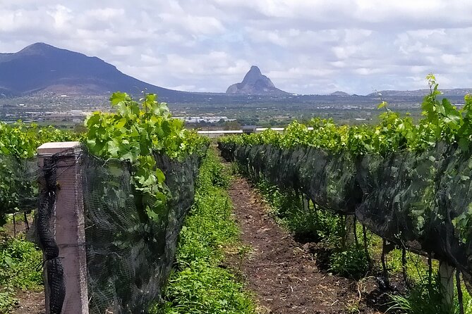 Wine Tours in the Heart of Mexico - Directions