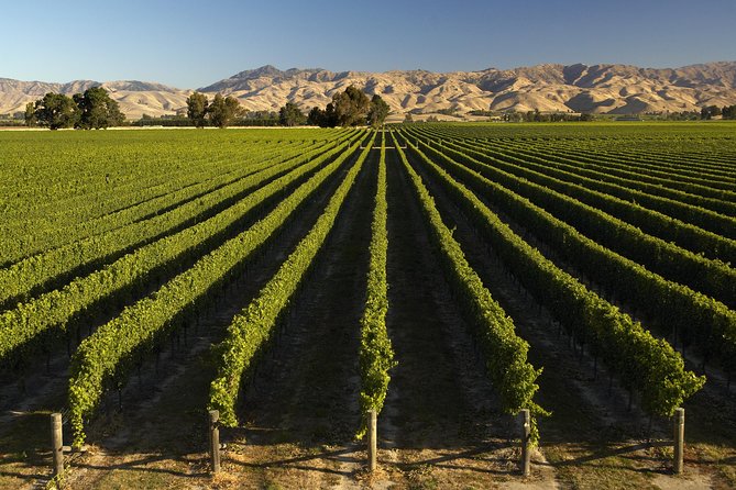 Wine Trail and Christchurch City Day Tour - Transportation and Guide