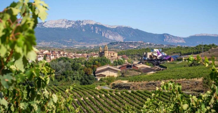Wine Trails & Medieval Tales: Bilbao's Heartland Tour - Tour Overview