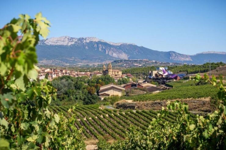 Wine Trails & Medieval Tales: Bilbao's Heartland Tour - Activity Details