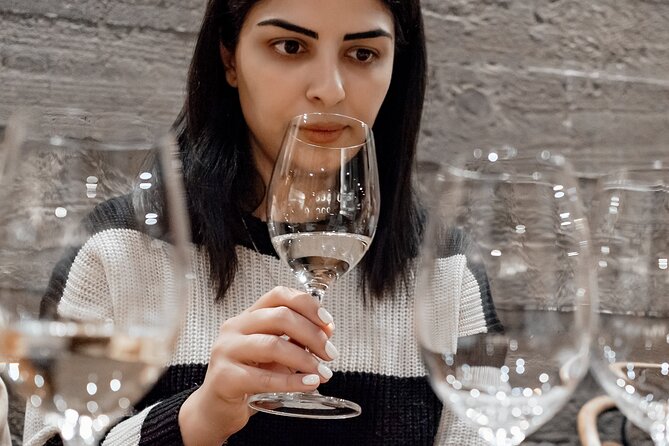 Wine Trip in Yerevan - Reviews Overview