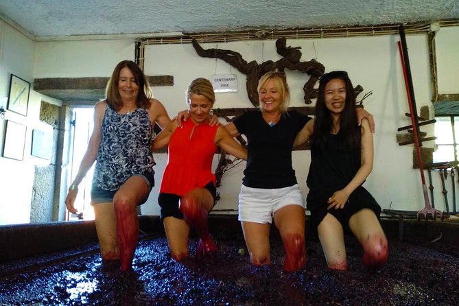 Wine Venture and Boat Trip in Douro Valley - Highlights of the Tour