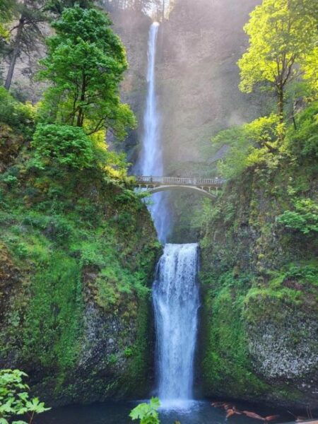Wine, Waterfalls, and Timberline Tour: A Full Day of Wonder - Additional Stops and Activities
