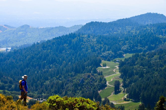 Wine & Wellness Tour in Napa Valley - Pricing and Booking Details