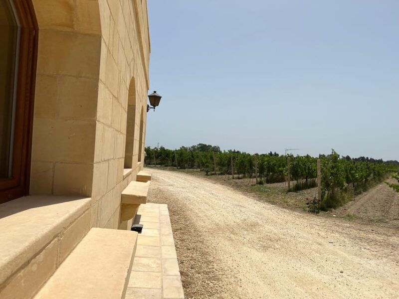 Wine with Maltese Grapes TOUR IN PORTUGUESE - The Itinerary Breakdown