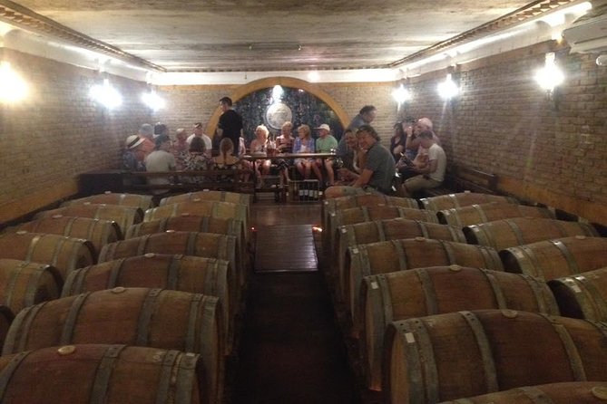 WINE WORLD EXPERIENCE From Albufeira - Vineyard Exploration