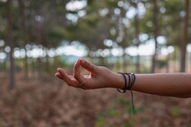 Wine Yoga in Essen - Sample Schedule of Events