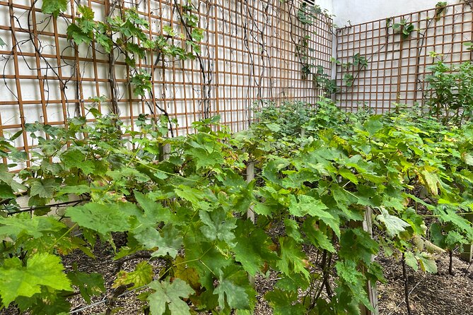 Wine Your Way Through the Marais - Exploring the Marais District