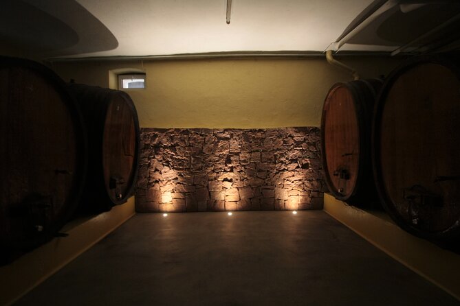 Winegrower Walk - Grape Varieties