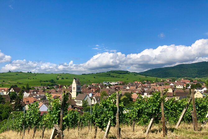 Winegrower Walk - Wine Tasting Experience